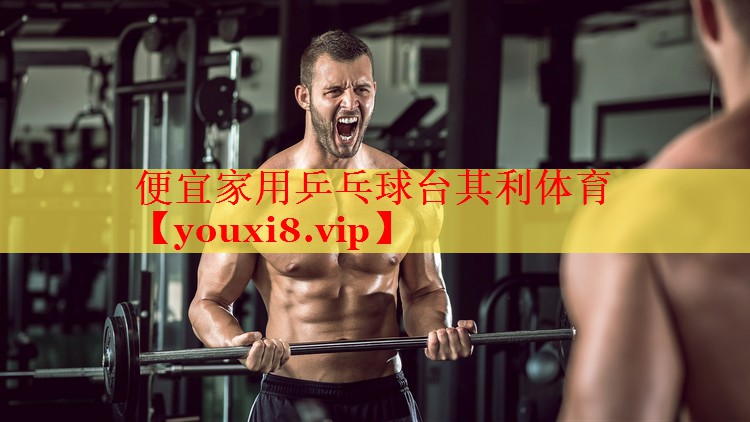便宜家用乒乓球台其利体育