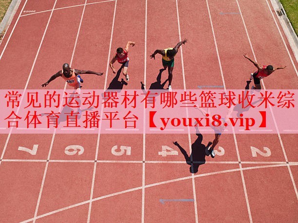 常见的运动器材有哪些篮球收米综合体育直播平台