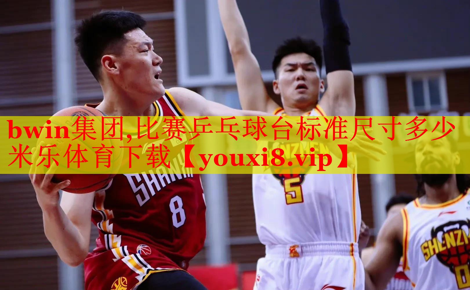 bwin集团,比赛乒乓球台标准尺寸多少米乐体育下载