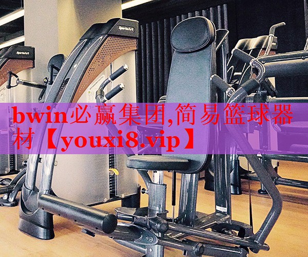 bwin必赢集团,简易篮球器材