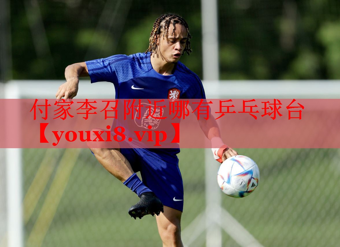 付家李召附近哪有乒乓球台