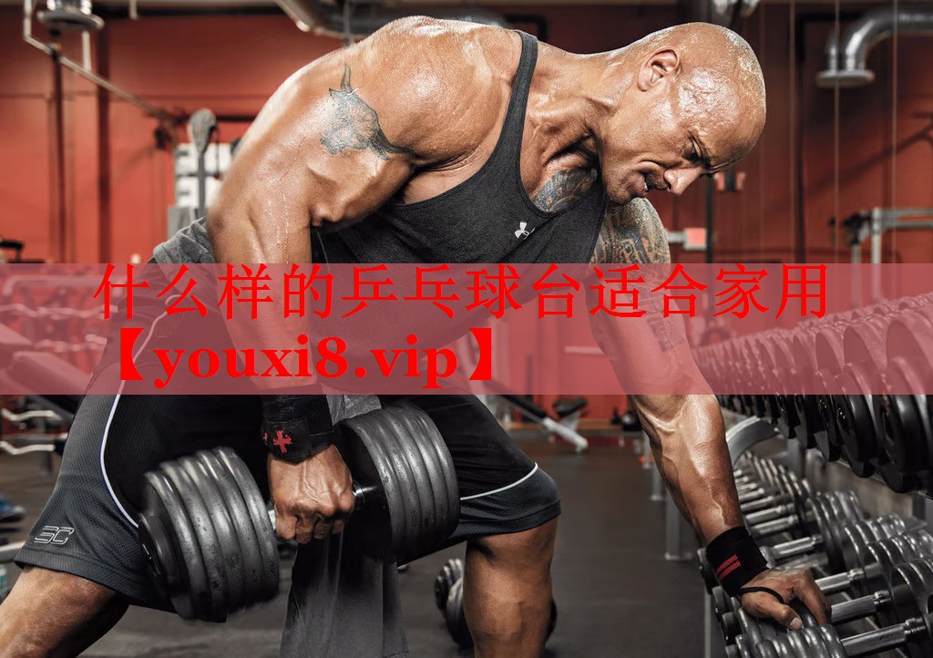 什么样的乒乓球台适合家用