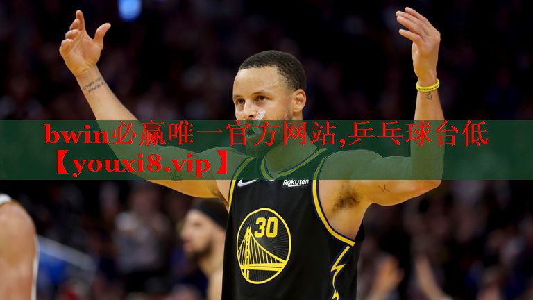 乒乓球台低